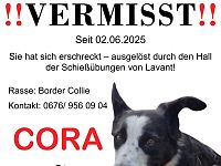 Hund vermisst - Kukuq hilft!