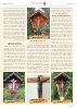 Gemeindezeitung-Ausgabe-April-2025-page43.jpg